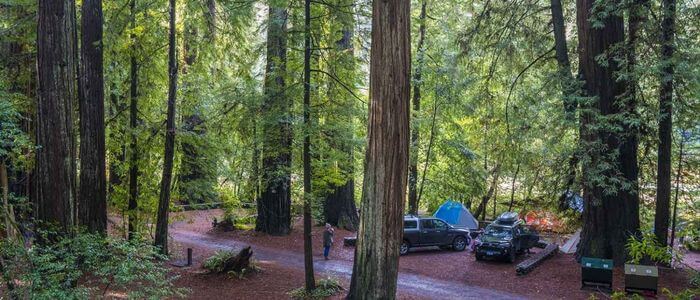 Jedediah Smith Redwoods State Park Campground, Redwoods National and State Parks
